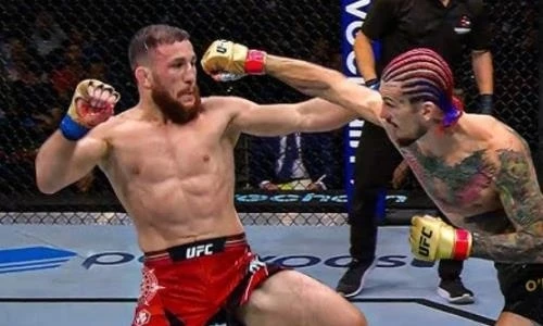 UFC 316: Двалишвили защитил титул, победив О"Мэлли
