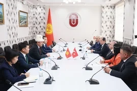 Глава Ошской области встретился с послом Турции