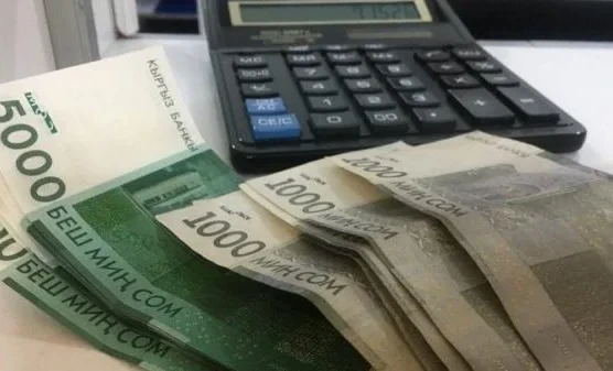 Почти 92 млн сомов направлено на компенсации взамен льгот