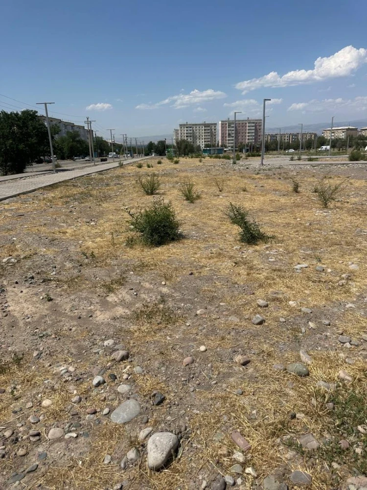 За что именно задержали мэра Токмока Максата Нусувалиева и других чиновников. Ответ ГКНБ