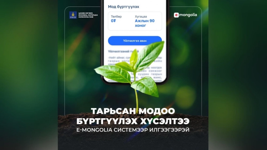В систему E-Mongolia добавлена ​​услуга по регистрации деревьев