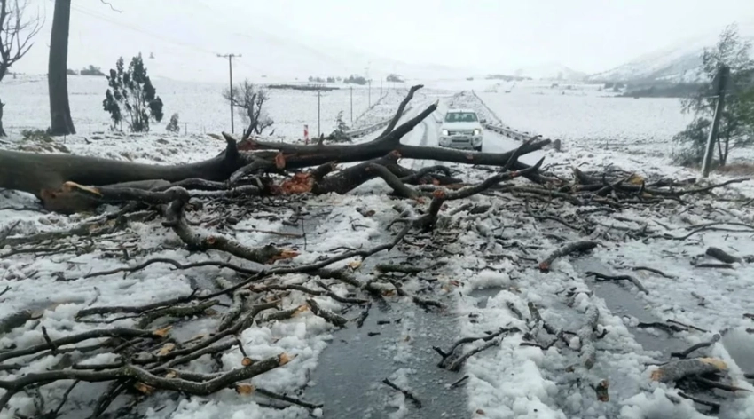 В ЮАР погибли 49 человек из-за снегопада
