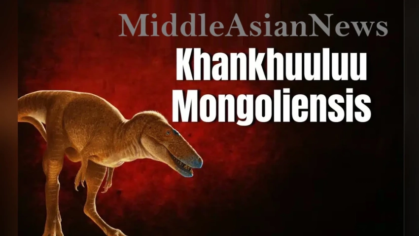 Новый вид динозавров, родственный T. Rex, обнаружен в Монголии и назван Khankhuuluu mongoliensis