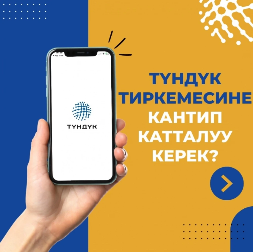 Как получить справку о несудимости через "Тундук": пошаговая инструкция