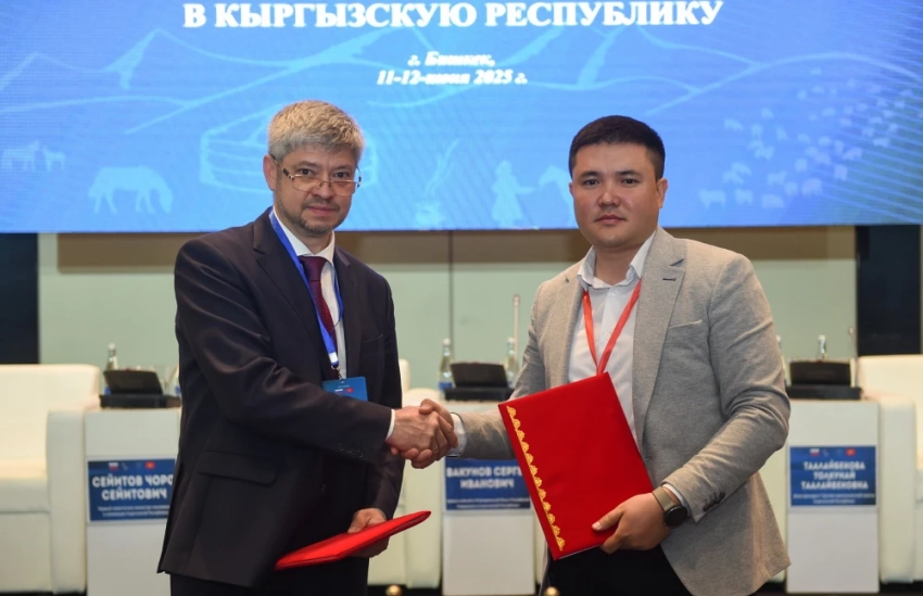 В Кыргызстане проведут экспериментальное применение препарата для борьбы с саранчой
