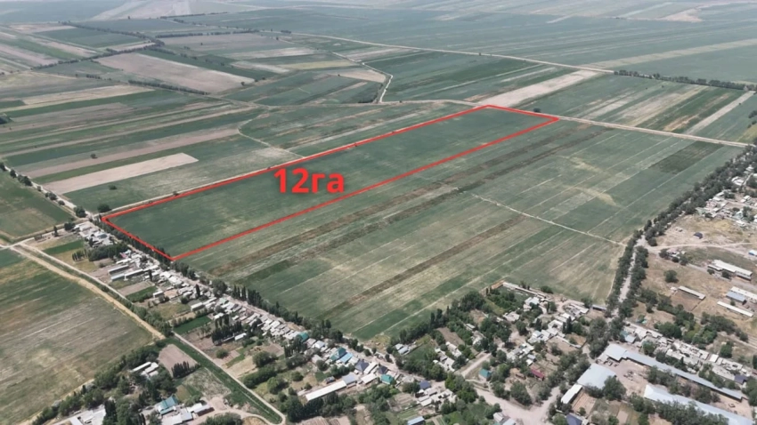 Государству вернули 400 гектаров земли в Сокулуке