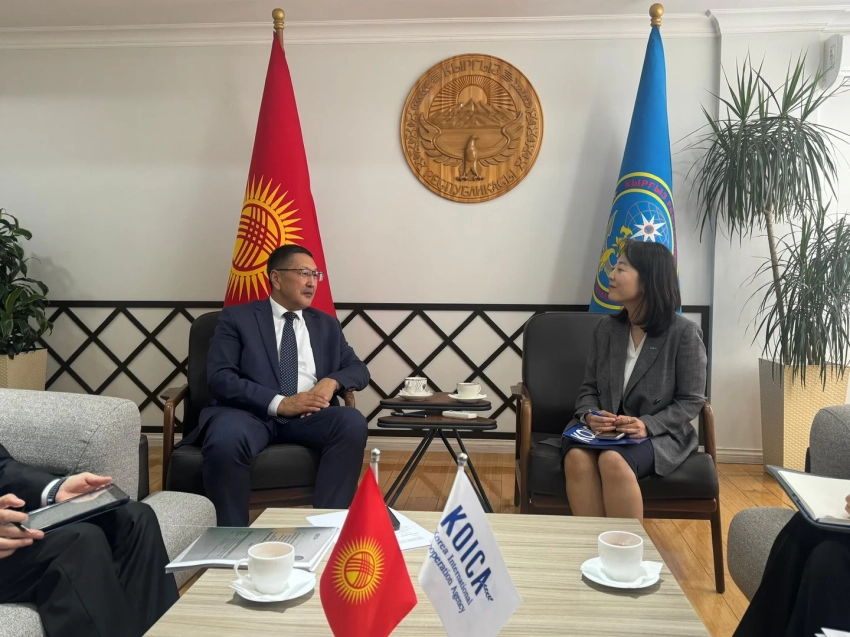 МЧС и KOICA обсудили развитие сотрудничества в сфере пожарной безопасности