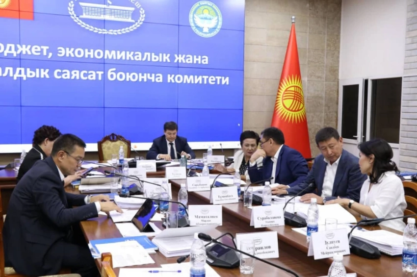 Жогорку Кенешу представили отчет о деятельности Счетной палаты за 2024 год (цифры)