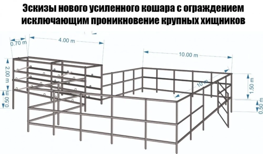 Чабанам, у которых погибли сотни овец, построят новую усиленную кошару