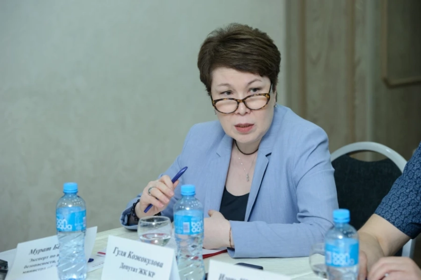 Депутат: Пакет документов по госязыку противоречит Конституции КР
