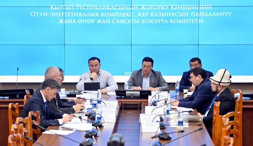 Комитет Жогорку Кенеша заслушал информацию об обеспечении электроэнергией дачных и садоводческих товариществ в Чуйской области