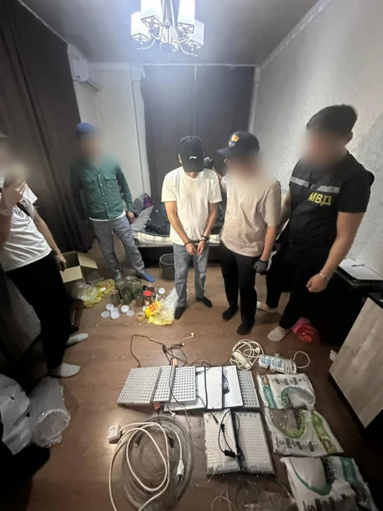 В Бишкеке выявлен магазин по продаже элитной марихуаны. Задержан экс-помощник прокурора