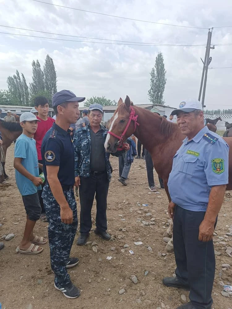 В Кыргызстане прошел рейд против кражи скота. Выявлено множество нарушений