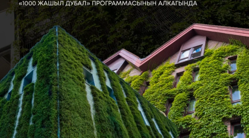В Бишкеке проходит конкурс на вертикальное озеленение фасада