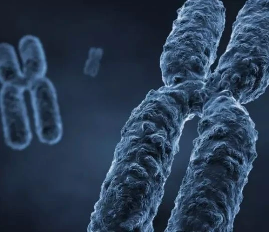 Ученые с помощью CRISPR удалили лишнюю хромосому у людей с синдромом Дауна