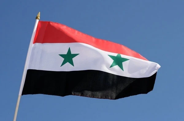 В Сирии пройдут первые после свержения Асада выборы