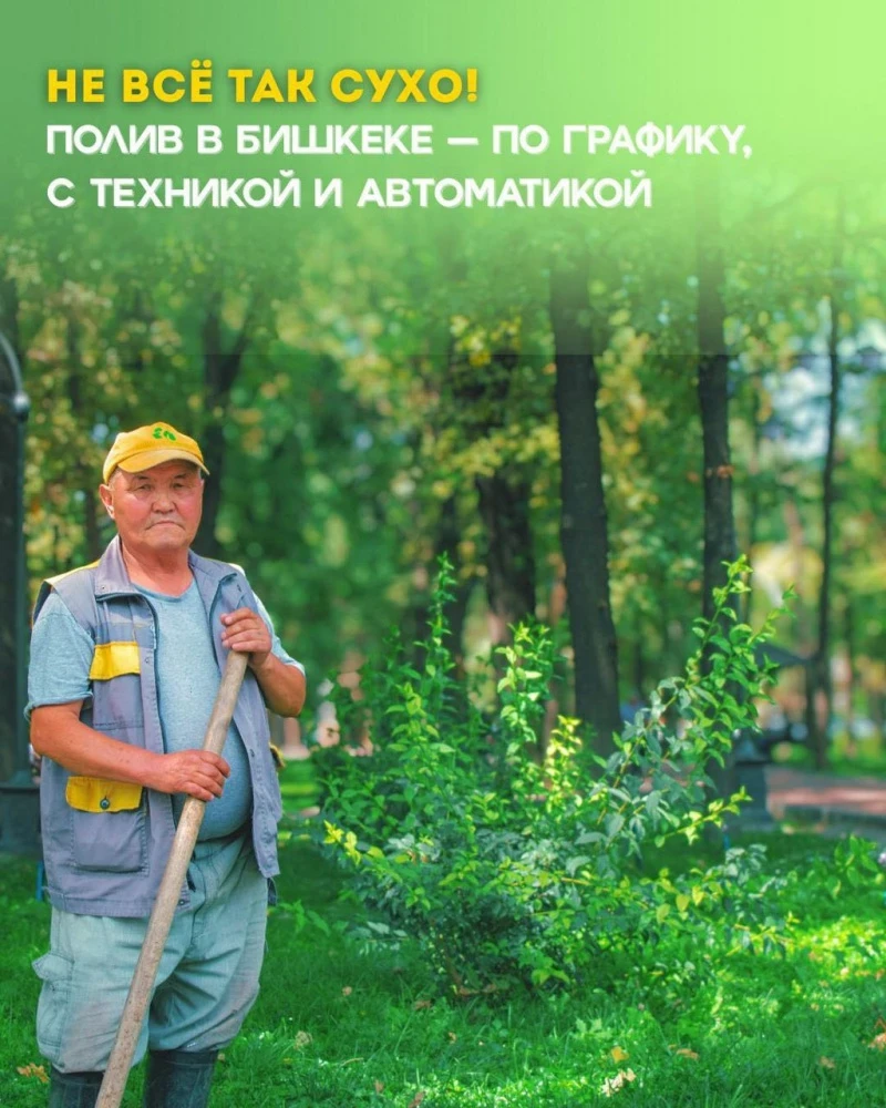 Как и по какому графику проходит полив растений в Бишкеке? Карточки от мэрии