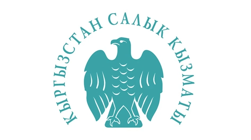 ГНС и ГТС будут выведены из структуры Минфина КР