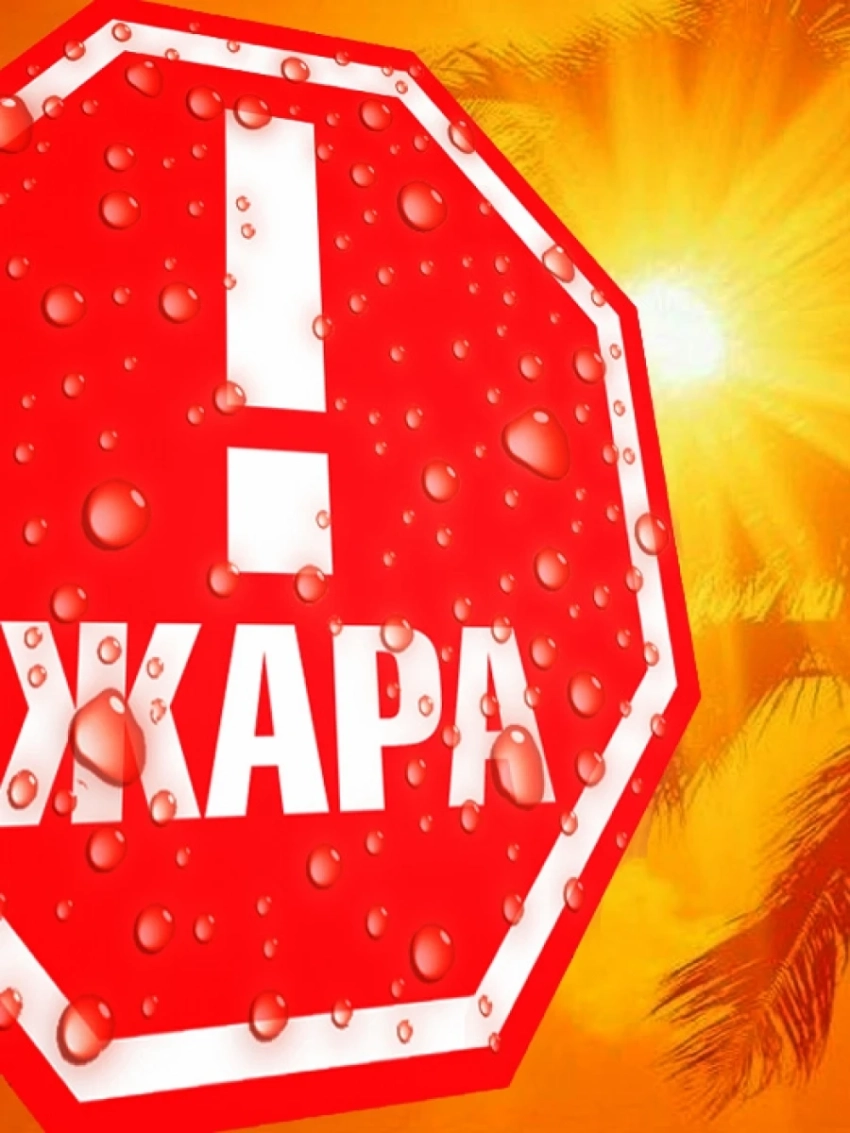 Смертельная жара — новая климатическая реальность Европы