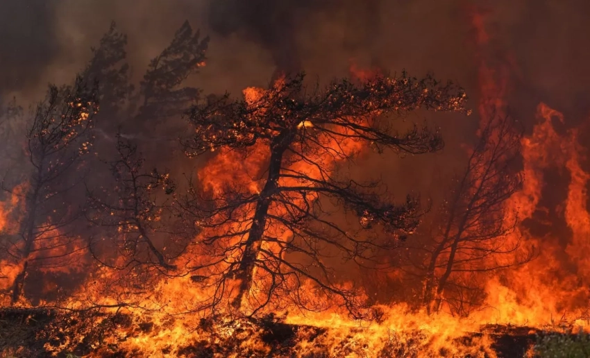 Жара и пожары охватили Средиземноморье: температура выше +40 °C