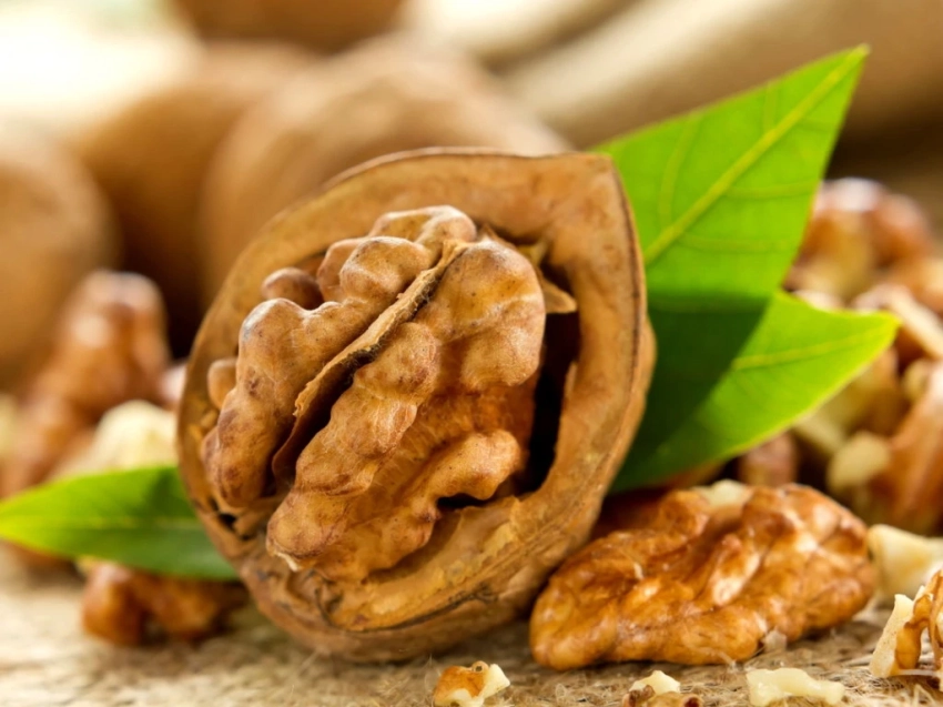 В Кыргызстане выдано первое свидетельство о регистрации Географического указания — «Кыргызский орех «Арстанбап»