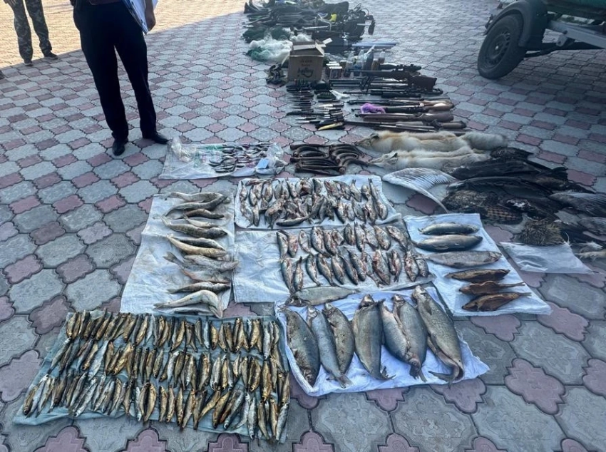 На Иссык-Куле выявили крупную партию оружия, сетей и незаконно пойманной рыбы