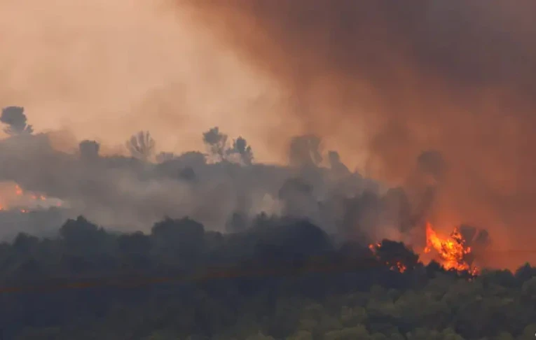Во Франции разгорелся крупнейший с 1949 года лесной пожар