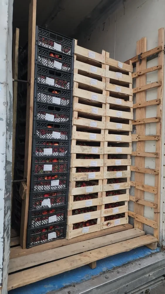 Транспорт со скоропортящейся продукцией проходит границу с Казахстаном беспрепятственно – Минсельхоз КР