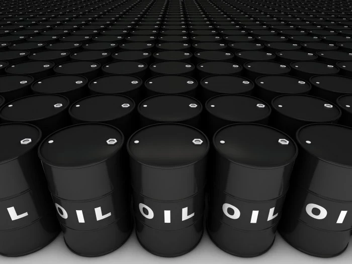 США заявили о выгоде богатейших семей Индии от закупок российской нефти — Bloomberg