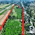 Земельные участки бывшего Балыкчинского плодсовхозкомбината возвращены государству