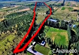 В госсобственность вернули земельные участки в городе Балыкчы