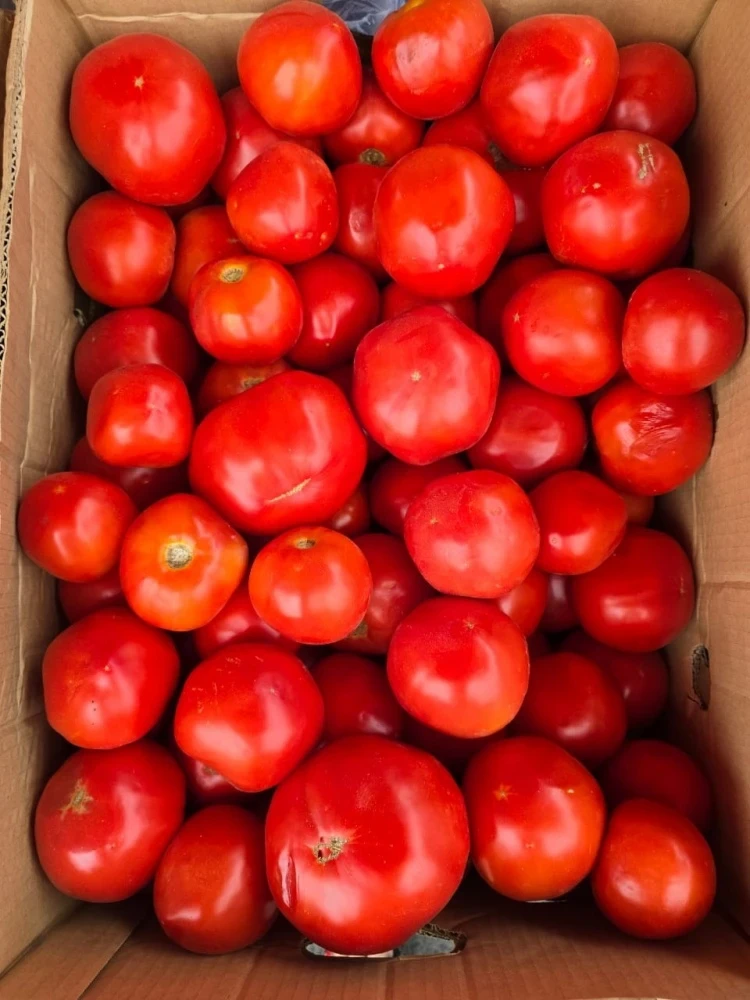 Бишкекчане: "Помидоры по 25 сомов на ярмарке - это подарок!"