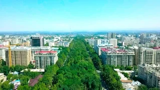 Будущее поколение должно жить в зелёном городе – мэр Бишкека