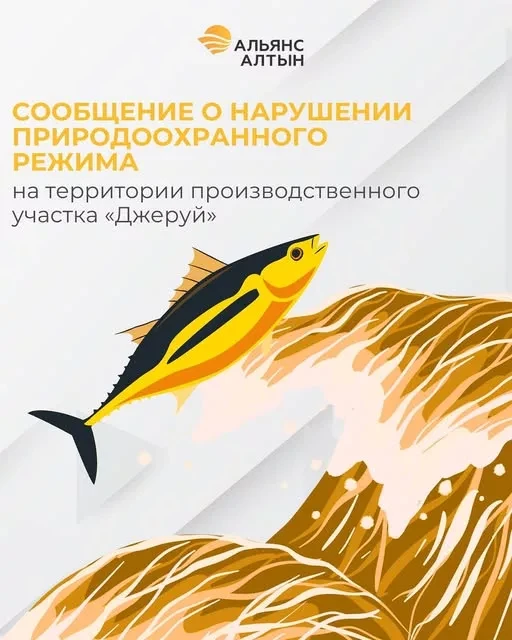 «Альянс Алтын» выявила нарушение природоохранного режима на территории производственного участка «Джеруй»