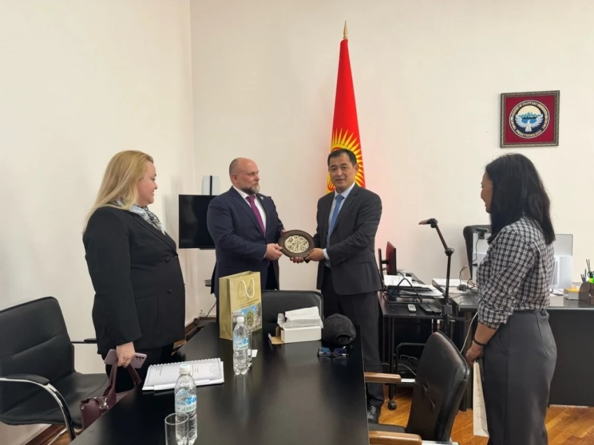 Кыргызстан и Россия запускают совместный медпроект: что это даст пациентам