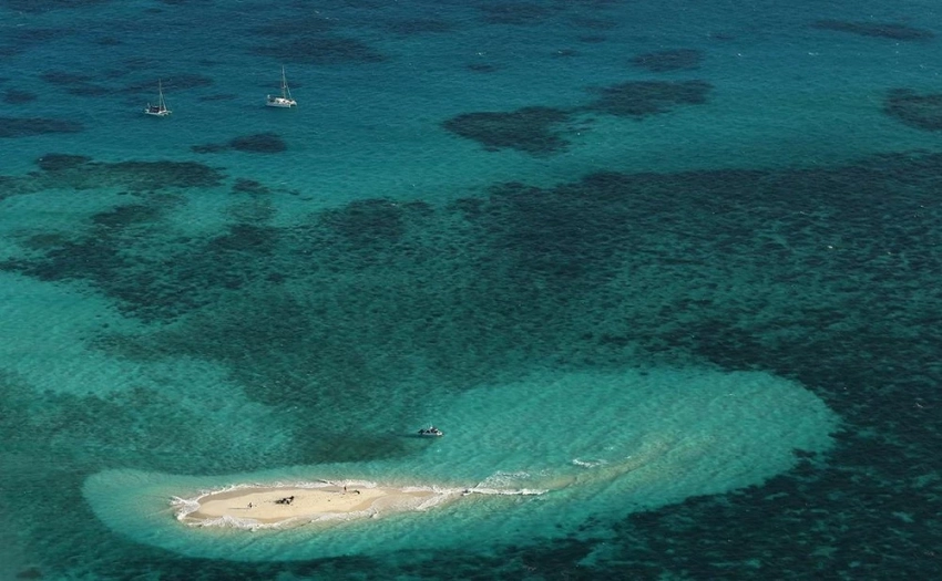 В Австралии кораллы стали выцветать и становиться белыми