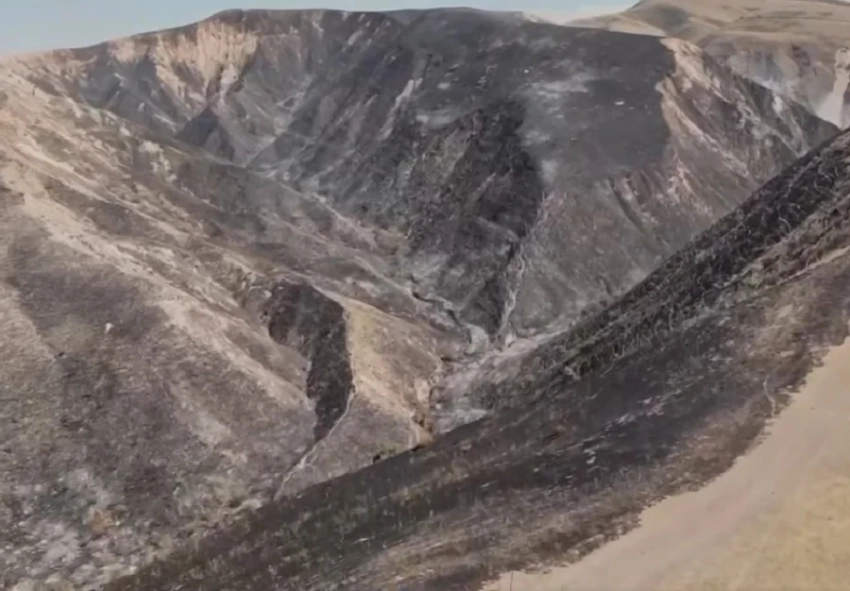 Площадь пожара в горах близ Бишкека составила 100 гектаров