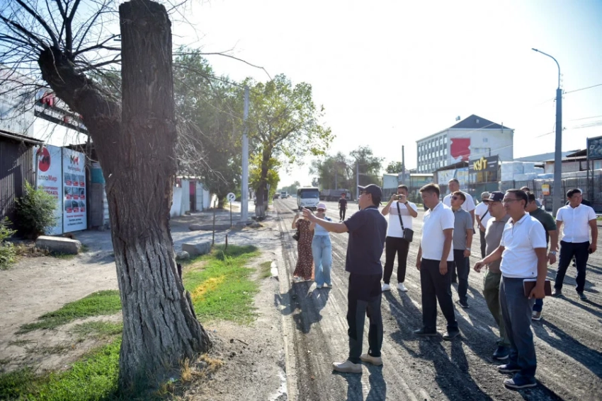 По улице Льва Толстого в Бишкека вырубят аварийные деревья и приведут в порядок зеленые зоны