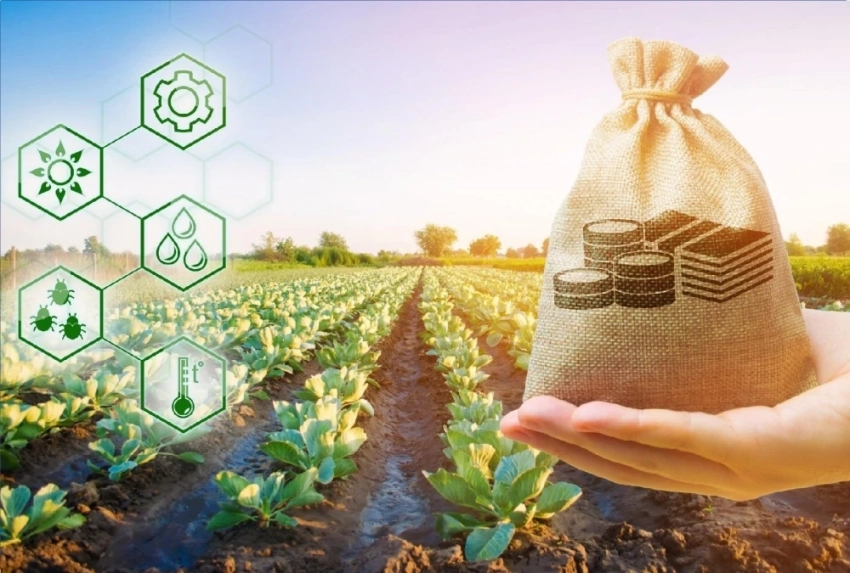 Банки выдали фермерам КР 3,79 млрд сомов льготных кредитов