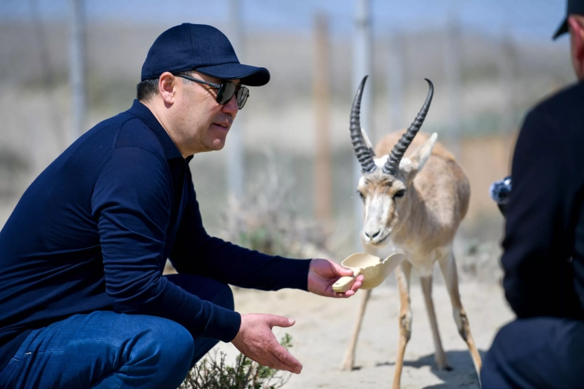 «Очень печально»: Садыр Жапаров о ситуации с мусором на берегу Иссык-Куля