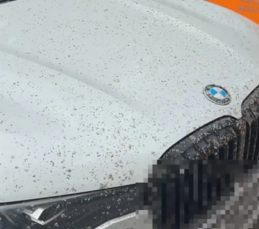 Бишкекчанка припарковала свою BMW возле стройки, а потом обнаружила ее залитой цементом