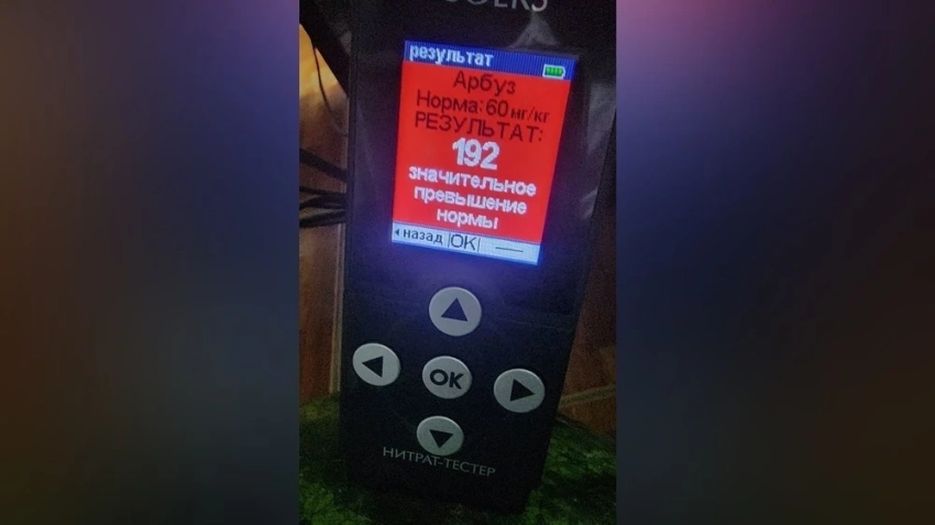 Кыргызстан направил ноты Китаю и Нидерландам из-за фитосанитарных нарушений