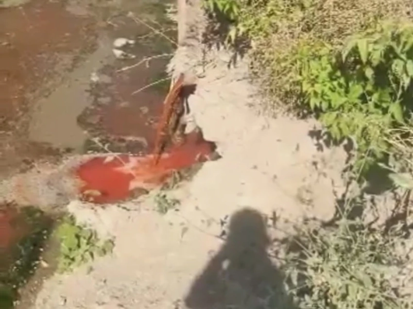 Завод «Сонун» в Бишкеке сбрасывал сточные воды в канализацию