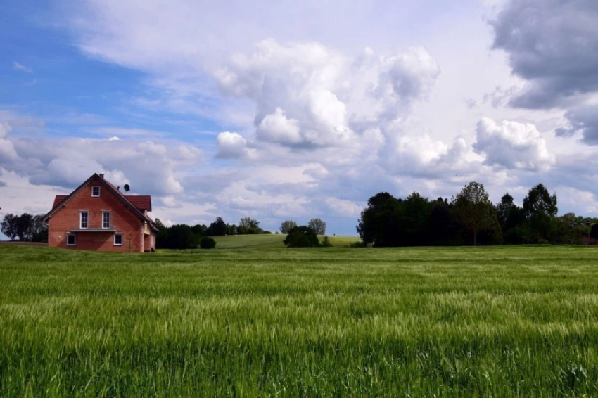 В Жайыльском районе государству возвращено более тысячи гектаров земель