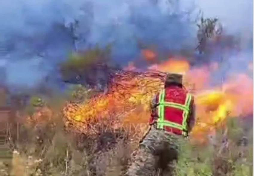 Пожар в горах Панфиловского района не стихает две недели
