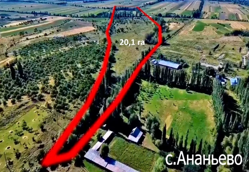 Земельные участки бывшего Балыкчинского плодсовхозкомбината возвращены государству