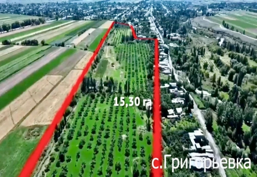 Земли Балыкчинского плодсовхозкомбината вернули государству