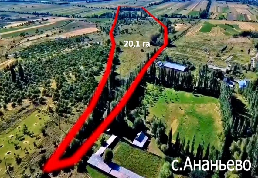 В госсобственность вернули земельные участки в городе Балыкчы