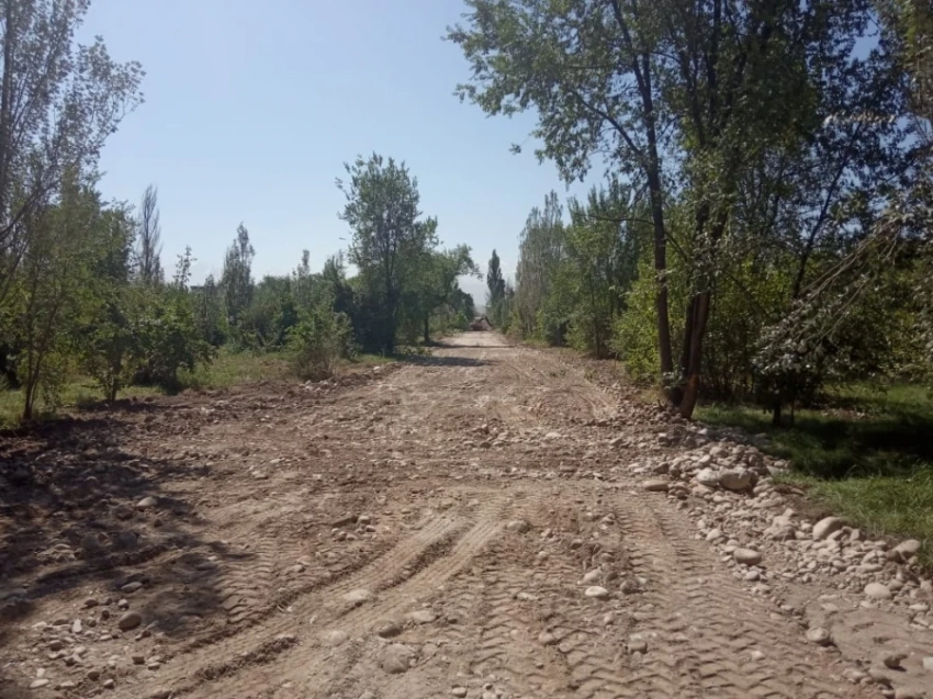 Почему в Бишкеке люди стали чаще болеть и при чем здесь деревья?