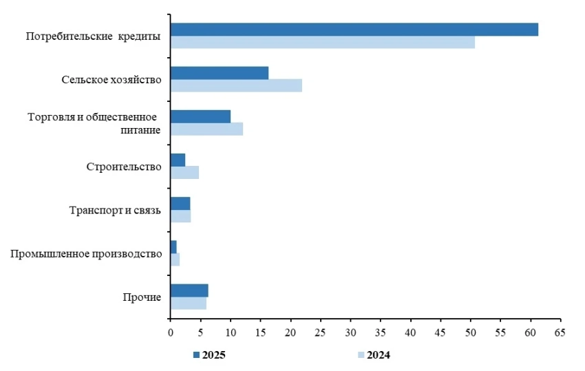 В Кыргызстане за полгода выдано микрокредитов на сумму более 40 млрд сомов